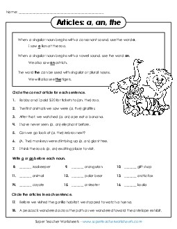 Choose the Article Adjectives Worksheet