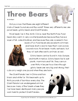 Three Types of Bears 3rd Grade Reading Comprehension Worksheet