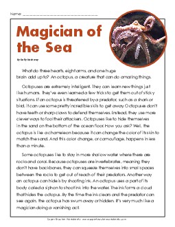 Magician of the Sea Free 3rd Grade Reading Comprehension Worksheet