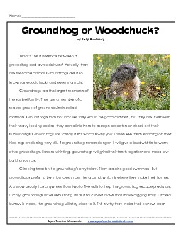 Groundhog or Woodchuck? 3rd Grade Reading Comprehension Worksheet