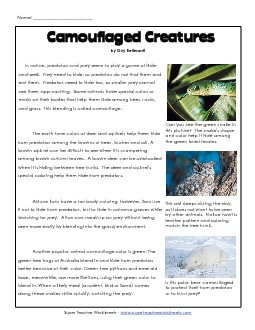 Camouflage (Article & Questions) Reading Comprehension Worksheet