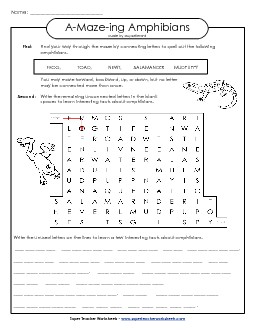 A-Maze-ing Puzzle: Frogs, Toads, Salamanders A Maze Ing Worksheet