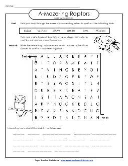 A-Maze-ing Puzzle: Raptors (Birds of Prey) A Maze Ing Worksheet