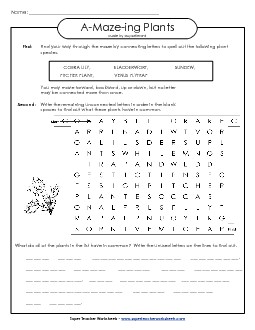 A-Maze-ing Puzzle: Carnivorous Plants A Maze Ing Worksheet