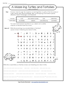 A-Maze-ing Puzzle: Turtles A Maze Ing Worksheet