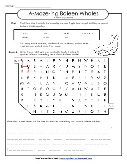 A-Maze-ing Puzzle: Whales A Maze Ing Worksheet