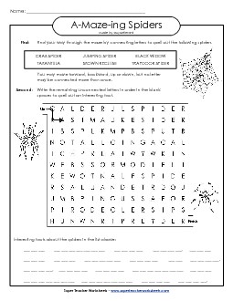 A-Maze-ing Puzzle: Spiders A Maze Ing Worksheet