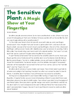 Sensitive Plant 5th Grade Reading Comprehension Worksheet