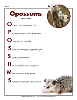 Opossums (Poem) 5th Grade Reading Comprehension Worksheet