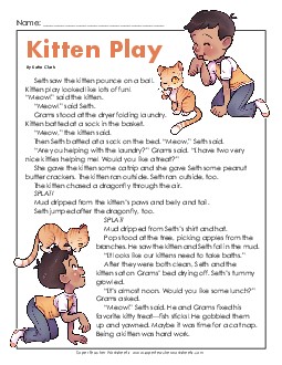 Kitten Play 2nd Grade Reading Comprehension Worksheet