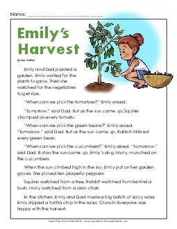 Emily's Harvest 2nd Grade Reading Comprehension Worksheet