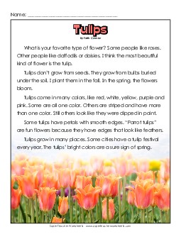 Tulips 2nd Grade Reading Comprehension Worksheet