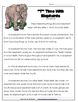 Elephants 2nd Grade Reading Comprehension Worksheet