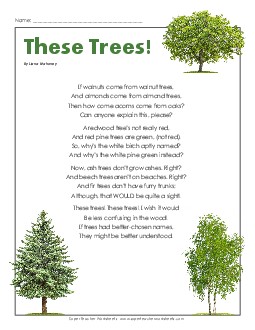 These Trees (Poem) 4th Grade Reading Comprehension Worksheet