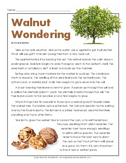 Wonderful Walnuts (Article) 4th Grade Reading Comprehension Worksheet