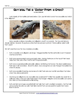 Crocodiles and Alligators (Article) 4th Grade Reading Comprehension Worksheet