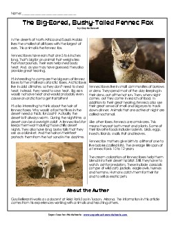 Fennec Fox (Article) 4th Grade Reading Comprehension Worksheet