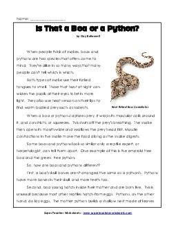 Boa or Python? (Article) 4th Grade Reading Comprehension Worksheet