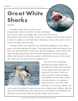 Great White Sharks 5th Grade Reading Comprehension Worksheet