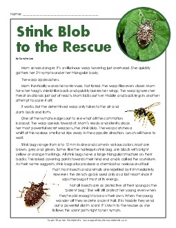 Stink Bugs (Article) 4th Grade Reading Comprehension Worksheet