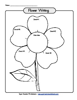 Flower Organizer (No Lines) Graphic Organizers Worksheet