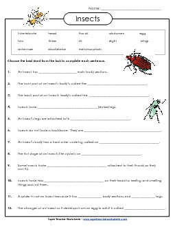 Insect Fill-in-the-Blanks Animals Worksheet