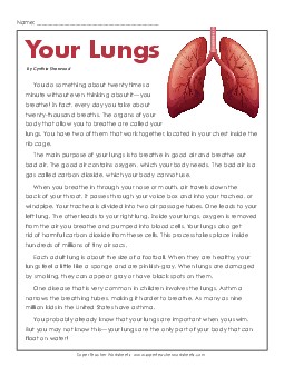 Your Lungs Free Human Body Worksheet