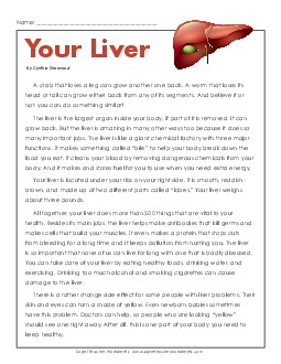 Your Liver Human Body Worksheet