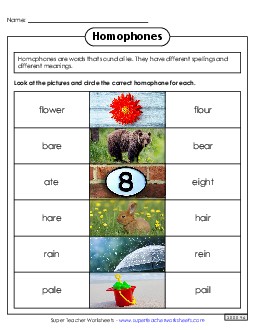 Homophones 4 Worksheet