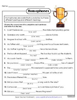 Choose the Homophone #2 Homophones Worksheet