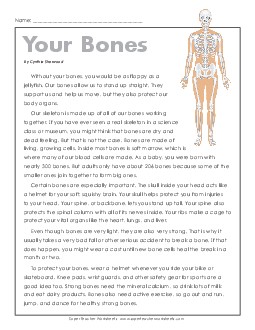 Your Bones Human Body Worksheet