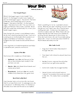 Your Skin 4th Grade Reading Comprehension Worksheet