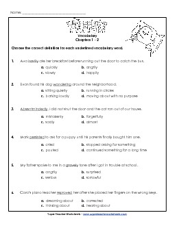 Vocabulary for Chapters 1 & 2 Free Book Chocolate Touch Worksheet