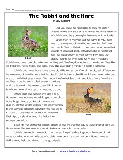 The Rabbit and the Hare (Nonfiction) Reading Comprehension Worksheet