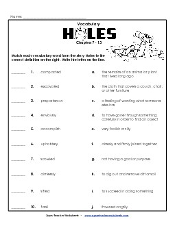 Vocab for Chapters 7-13 Book Holes Worksheet