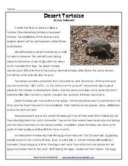 Desert Tortoise 5th Grade Reading Comprehension Worksheet