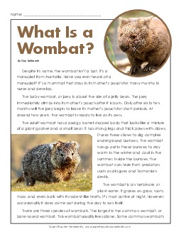 What is a Wombat? 5th Grade Reading Comprehension Worksheet