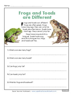 New Frogs and Toads Are Different (Short Article) Spanish Worksheet