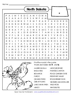 Word Search Puzzle States Individual Worksheet