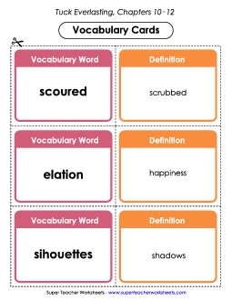 Vocab. Cards for Chapters 10-12 Book Tuck Everlasting Worksheet