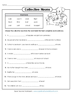 Collective Nouns 2nd Grade ELA Worksheet