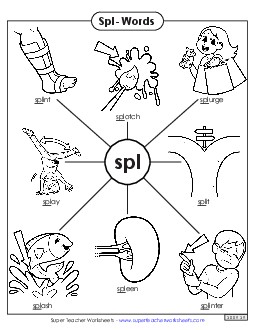 Anchor Chart (Spl- Words) Phonics Blends Worksheet