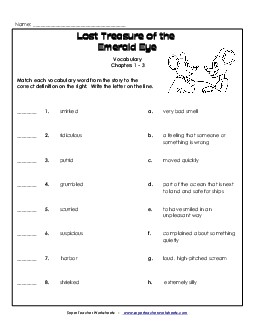 Vocabulary for Chapters 1-3 Book Geronimo Stilton Worksheet