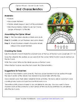 Bird Characteristics: Cipher Wheel Facts Animals Worksheet