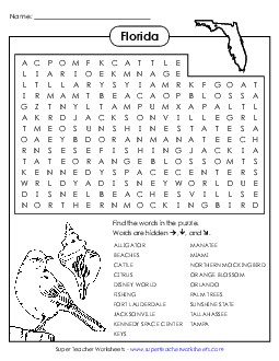 Word Search Puzzle States Individual Worksheet