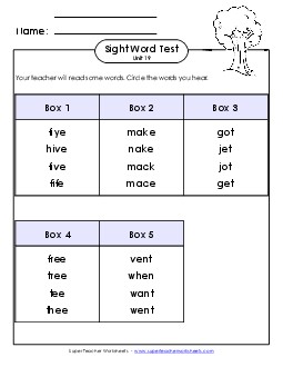 Whole Class Test (Unit 19) Sight Words Worksheet