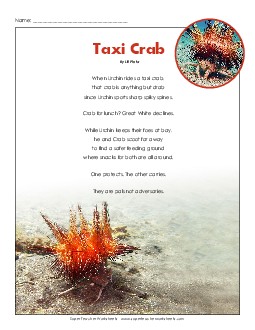 Taxi Crab 6th Grade Reading Comprehension Worksheet