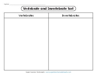 Invertebrate or Vertebrate Worksheet 3rd Grade 3rd Grade Science Worksheet