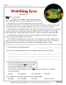 Eyes and Vision (Short Article) 3rd Grade Reading Comprehension Reading Comp Short Worksheet