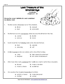 Vocabulary for Chapters 21-24 Book Geronimo Stilton Worksheet